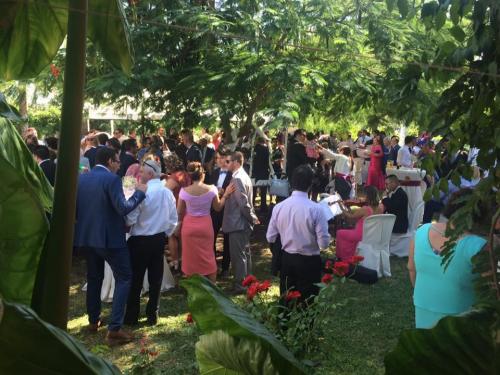 nerja wedding jardines del trapiche drinks reception (6)